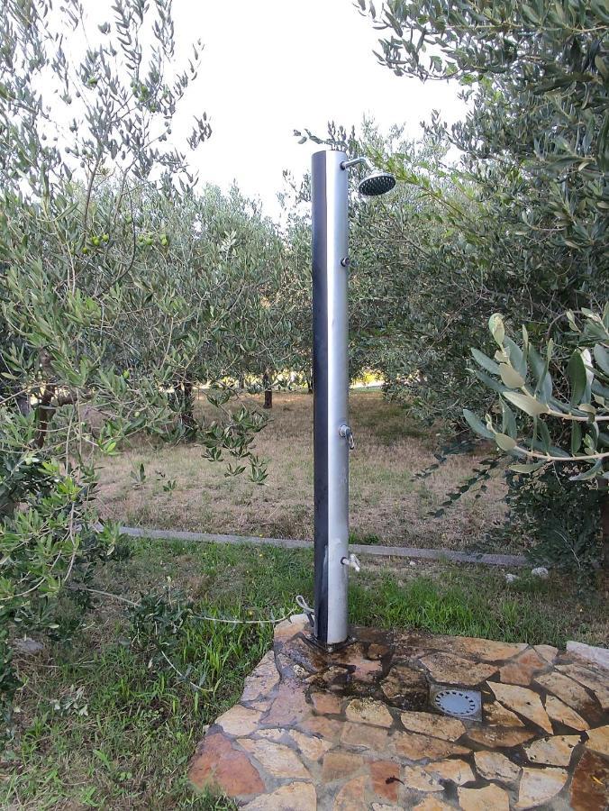 Apartment Arba 1 With Heated Pool Rab Town Esterno foto